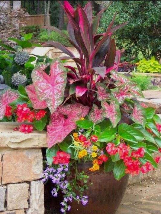 Sea Pines Landscaper - Hilton Head Island 29928
