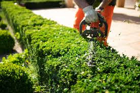 Fair Haven Shrub Pruning