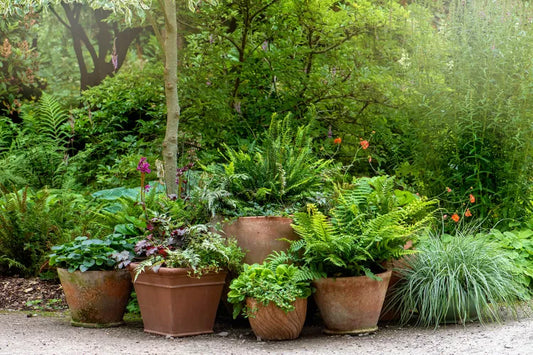 Fair Haven NJ Landscape Services