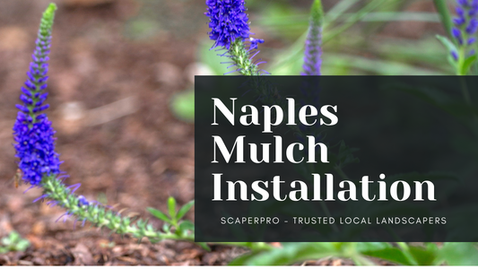 Naples Mulch Installation