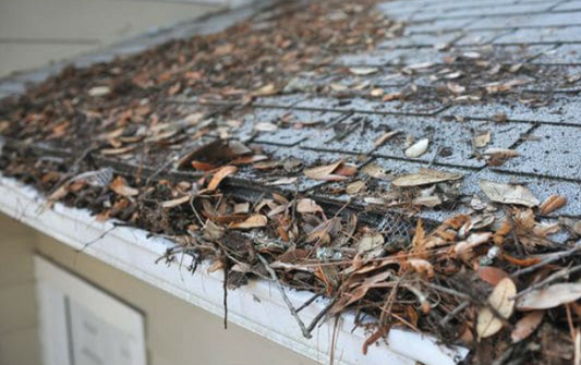 Gutter and Roof Cleaning HHI