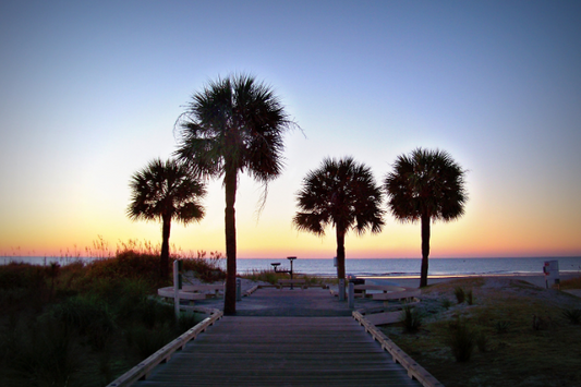 Home Owner Association - Landscape Services Hilton Head Sea Pines 29928