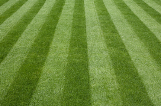 Robbinsville Lawn Mowing Service - Robbinsville, NJ