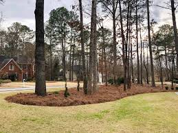 Sea Pines Landscaper