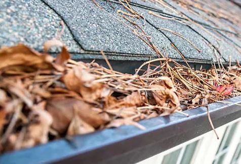 Sea Pines Gutter Cleaning | Hilton Head SC 29928