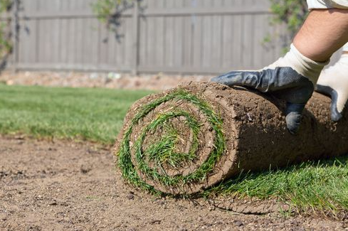 Sea Pines Sod Installation - Hilton Head Island 29928