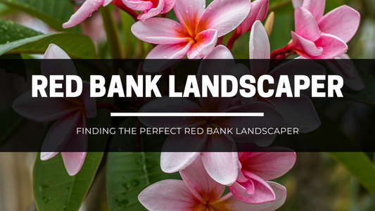 Red Bank NJ Landscape Services