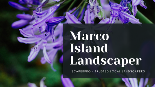 Island Landscape Service