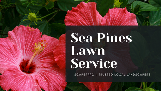 Sea Pines Lawn Service
