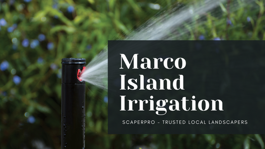 Marco Island Hydrawise Smart Irrigation
