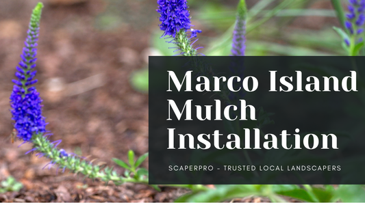 Marco Island Mulch