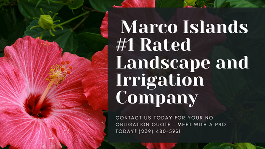 Lawn Service Marco Island