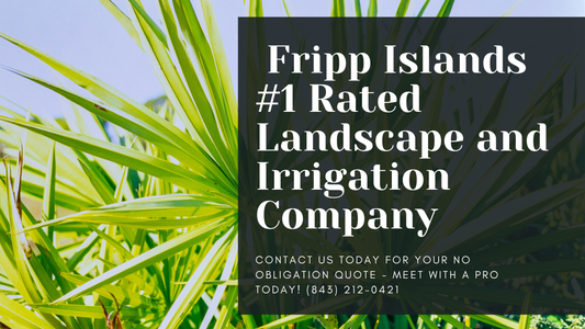 Fripp Island Landscaper
