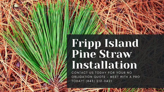 Fripp Island Pine Straw Installation