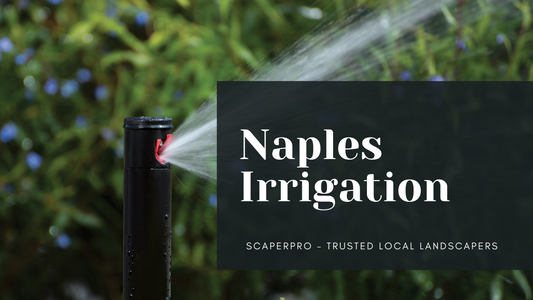 Naples Irrigation
