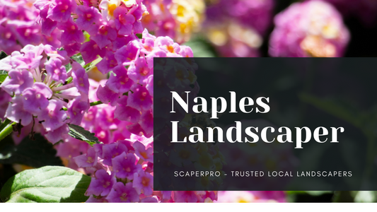 Naples Landscape Company
