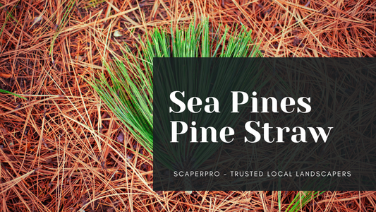 Sea Pines Pine Straw Installation | Sea Pines Plantation