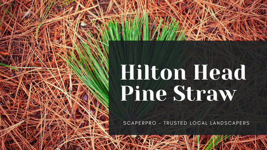 Pine Straw Services | Local Pro Landscaping