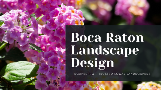 Boca Raton Landscape Design