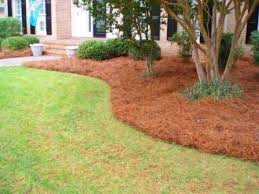 Pine straw installation Hilton Head plantation