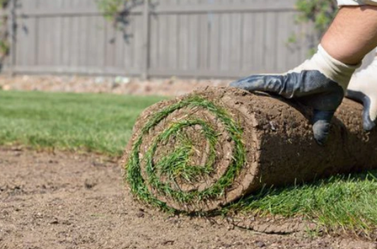 Red Bank NJ Sod Installation
