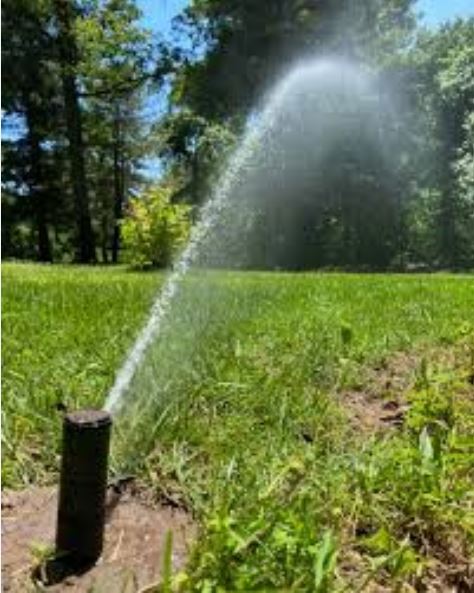 Hilton Head Plantation Irrigation Repairs - Hilton Head