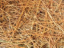 Indigo Run Pine Straw Installation