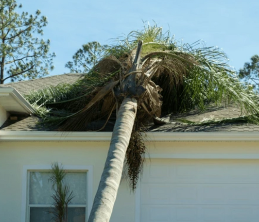 The Essential Tropical Storm Readiness Guide for Hilton Head Vacation Homeowners