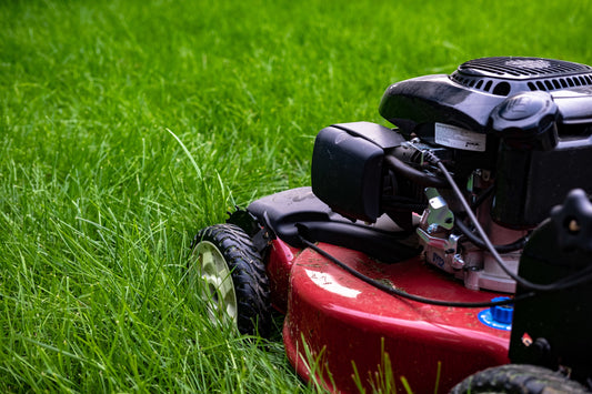 Asbury Park Lawn Mowing Company